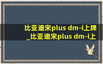 比亚迪宋plus dm-i上牌_比亚迪宋plus dm-i上牌流程